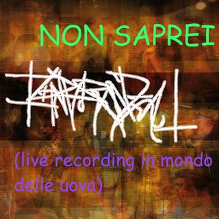 Ignoranza logo and album title, random colors